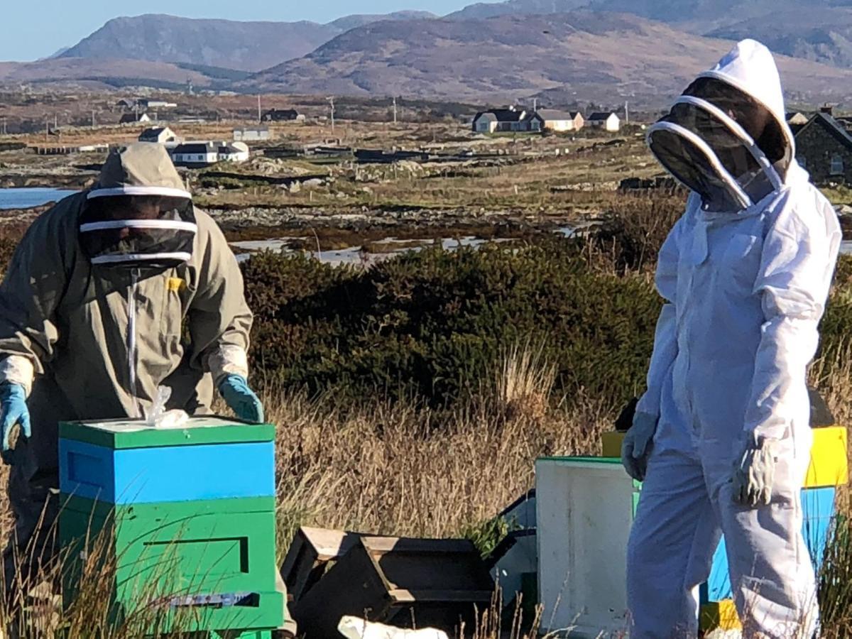 Connemara Sands Hotel & Spa Клифдън Екстериор снимка