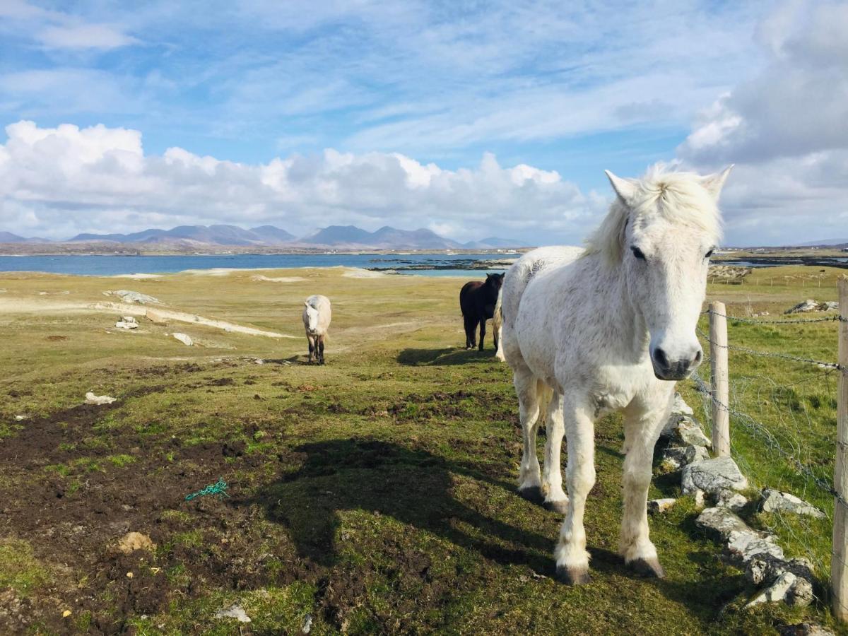 Connemara Sands Hotel & Spa Клифдън Екстериор снимка